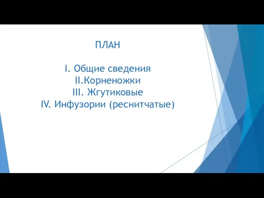 ПЛАН I. Общие сведения II.Корненожки III. Жгутиковые IV. Инфузории (реснитчатые)