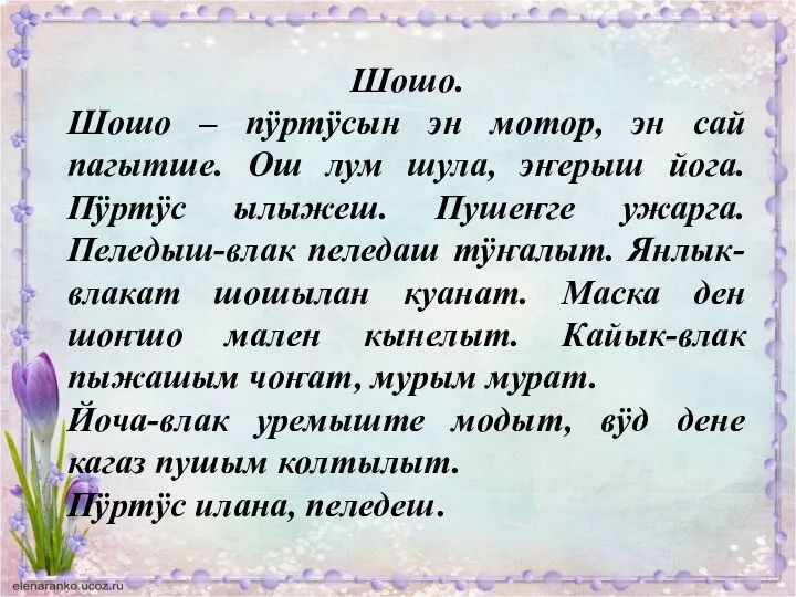 Шошо. Шошо – пÿртÿсын эн мотор, эн сай пагытше. Ош лум шула,