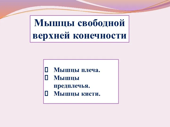 Мышцы плеча. Мышцы предплечья. Мышцы кисти. Мышцы свободной верхней конечности