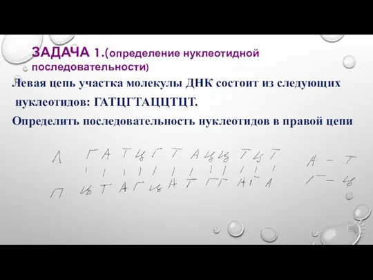 Левая цепь участка молекулы ДНК состоит из следующих нуклеотидов: ГАТЦГТАЦЦТЦТ. Определить последовательность