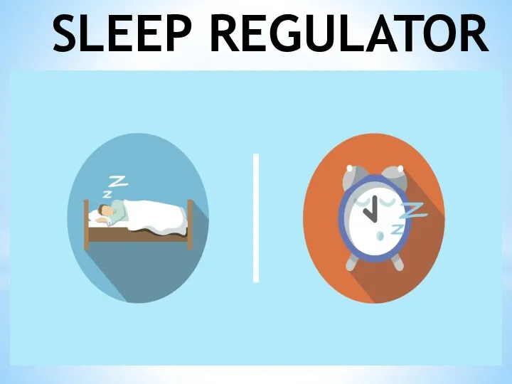 SLEEP REGULATOR