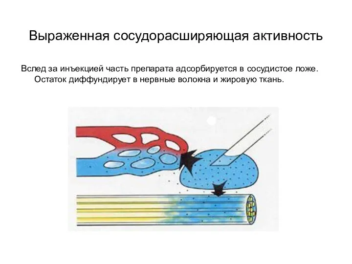 Выраженная сосудорасширяющая активность Вслед за инъекцией часть препарата адсорбируется в сосудистое ложе.