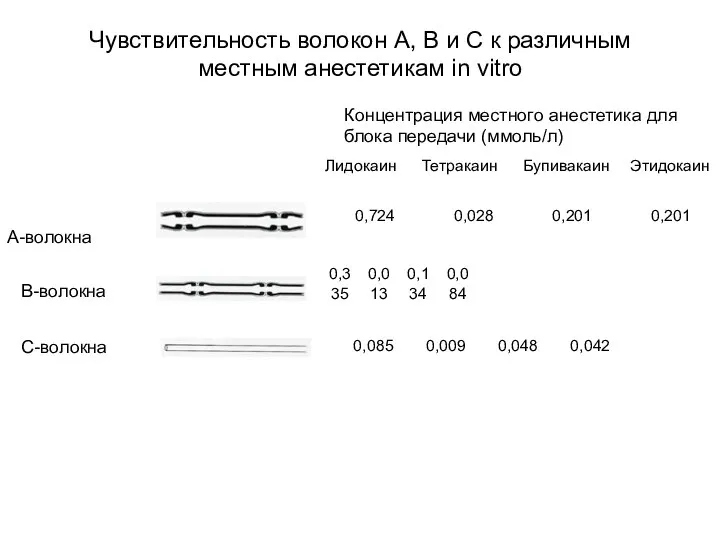 Чувствительность волокон А, В и С к различным местным анестетикам in vitro