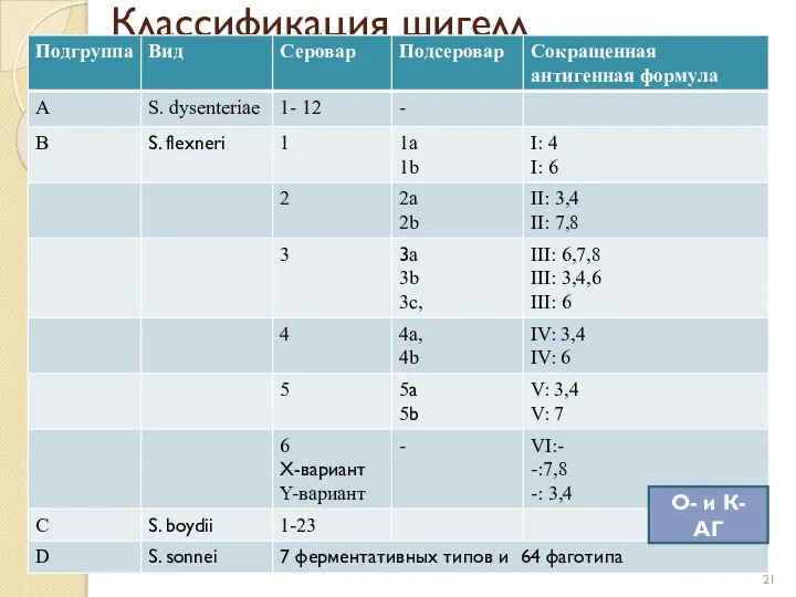 Классификация шигелл О- и К-АГ