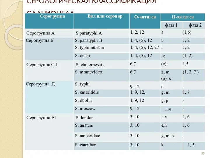 СЕРОЛОГИЧЕСКАЯ КЛАССИФИКАЦИЯ САЛЬМОНЕЛЛ