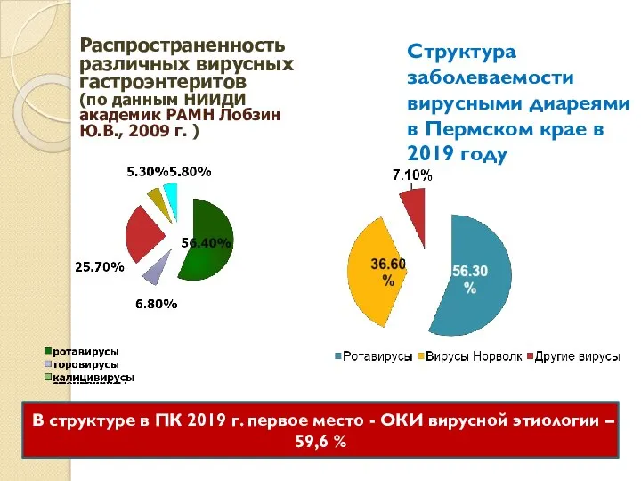 Структура заболеваемости вирусными диареями в Пермском крае в 2019 году В структуре