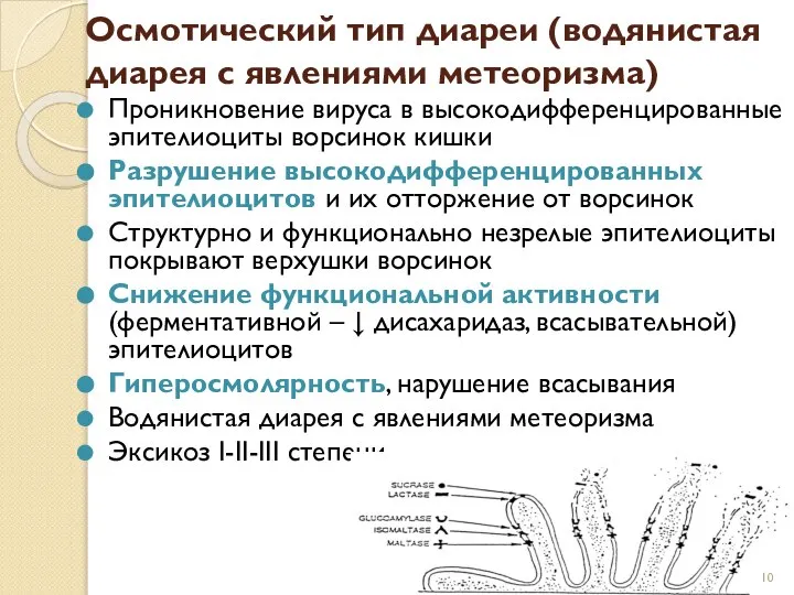 Осмотический тип диареи (водянистая диарея с явлениями метеоризма) Проникновение вируса в высокодифференцированные