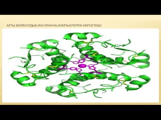 АЛТЫ МОЛЕКУЛДЫҚ ИНСУЛИННІҢ КОМПЬЮТЕРЛІК КӨРСЕТКІШІ