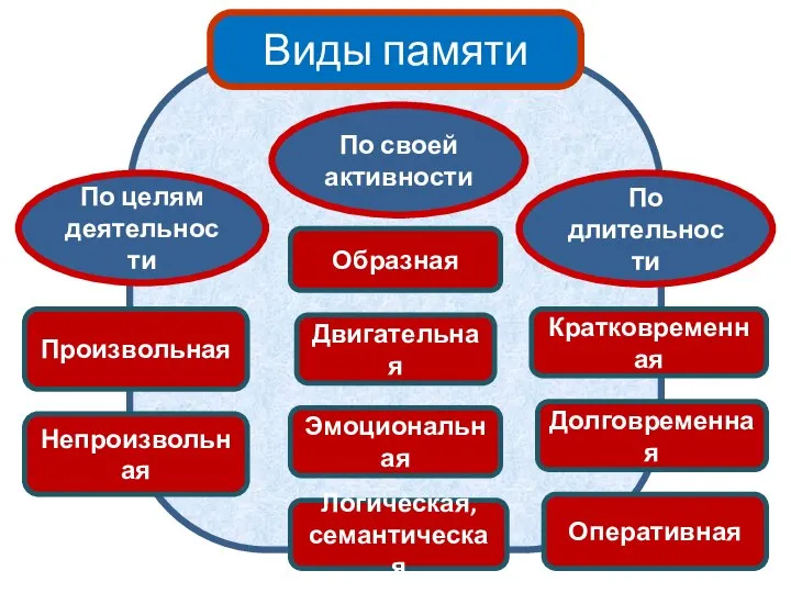 Виды памяти По длительности По своей активности По целям деятельности Образная Двигательная