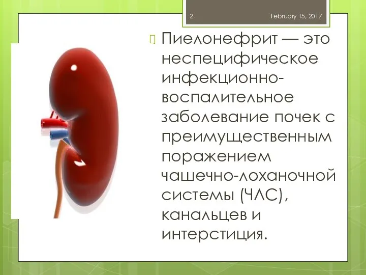 Пиелонефрит — это неспецифическое инфекционно-воспалительное заболевание почек с преимущественным поражением чашечно-лоханочной системы