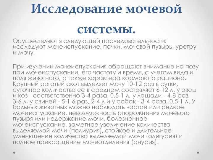 Исследование мочевой системы. Осуществляют я следующей последовательности: исследуют мочеиспускание, почки, мочевой пузырь,