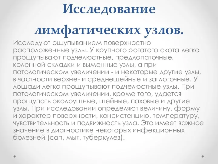 Исследование лимфатических узлов. Исследуют ощупыванием поверхностно расположенные узлы. У крупного рогатого скота