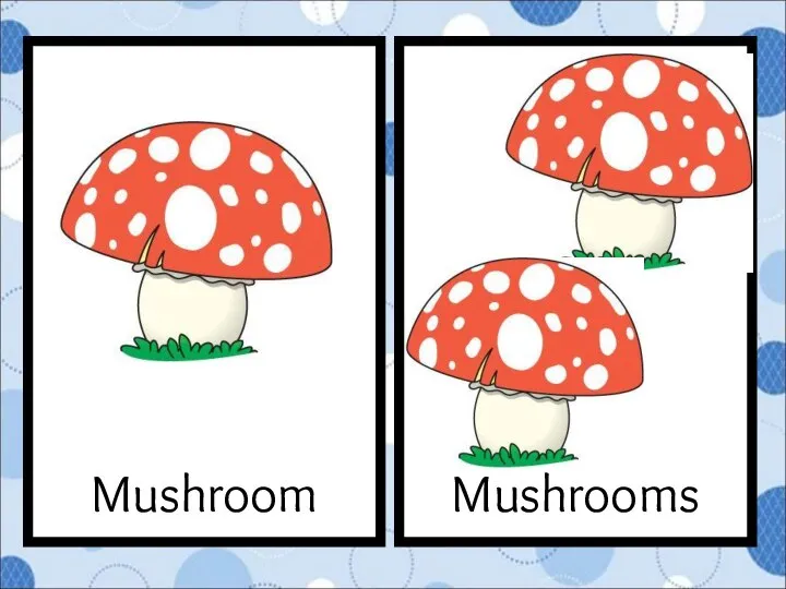 Mushrooms Mushroom