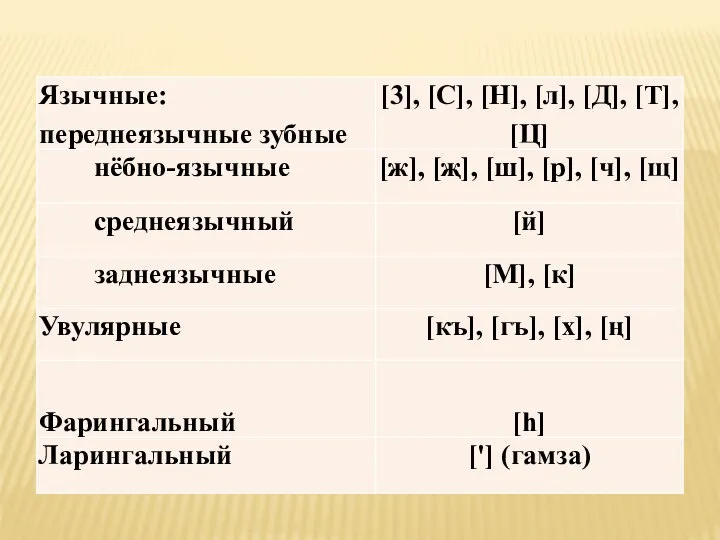 Согласные по месту образования