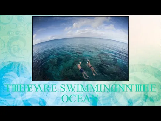 THEY …..................... IN THE OCEAN. THEY ARE SWIMMING IN THE OCEAN.