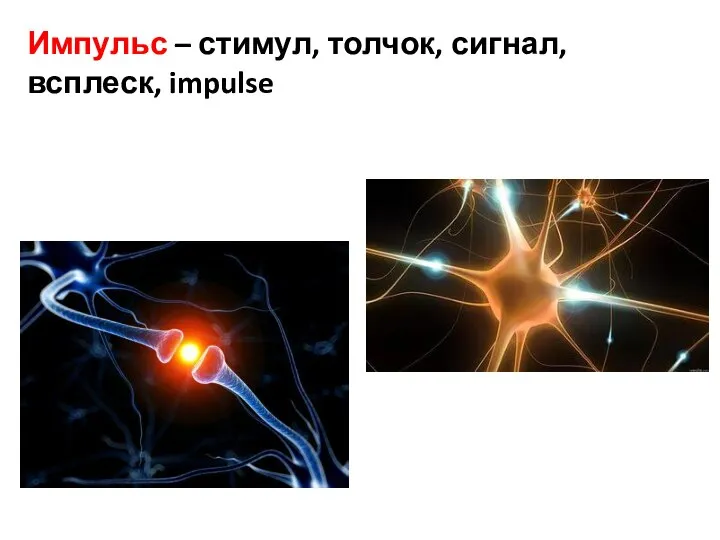 Импульс – стимул, толчок, сигнал, всплеск, impulse