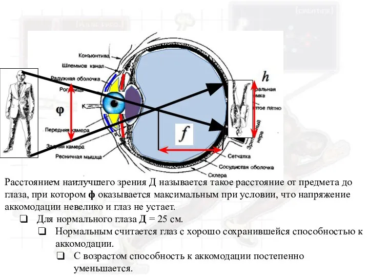 Расстоянием наилучшего зрения Д называется такое расстояние от предмета до глаза, при