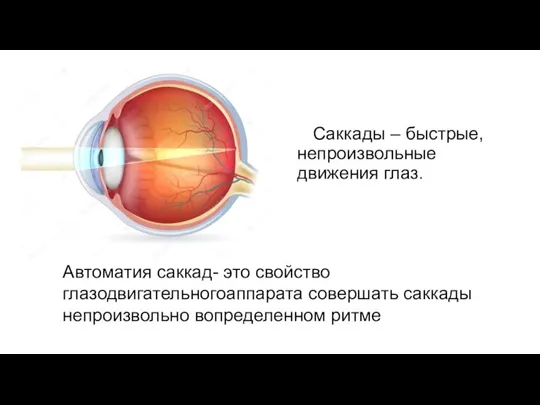 Саккады – быстрые, непроизвольные движения глаз. Автоматия саккад- это свойство глазодвигательногоаппарата совершать саккады непроизвольно вопределенном ритме