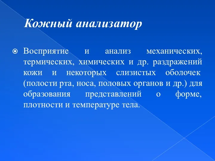 Кожный анализатор Восприятие и анализ механических, термических, химических и др. раздражений кожи