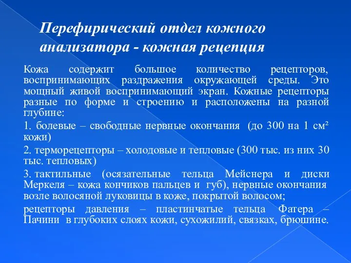 Перефирический отдел кожного анализатора - кожная рецепция Кожа содержит большое количество рецепторов,