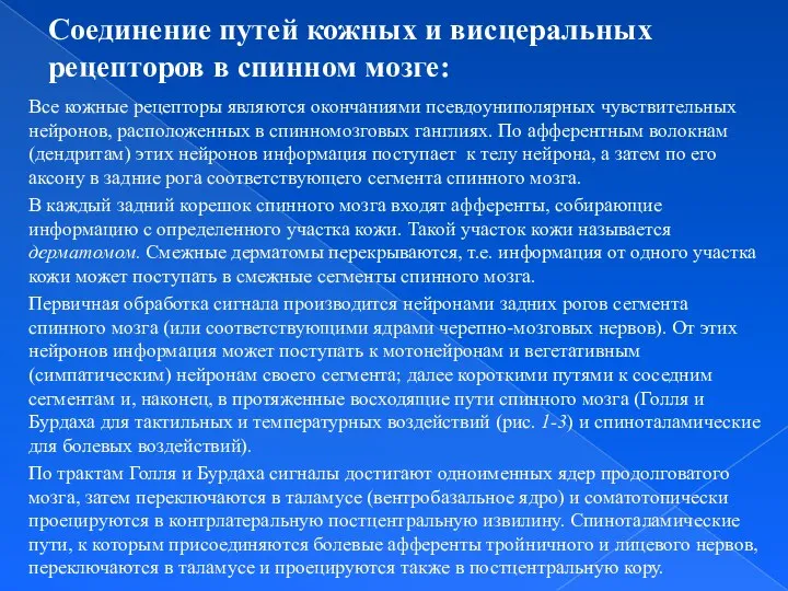 Соединение путей кожных и висцеральных рецепторов в спинном мозге: Все кожные рецепторы