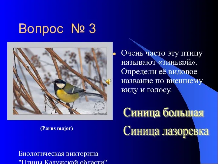 Биологическая викторина "Птицы Калужской области" Вопрос № 3 Очень часто эту птицу