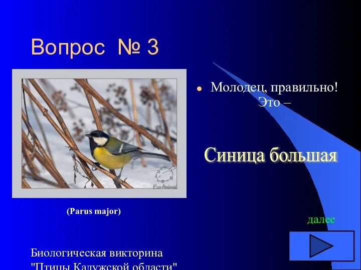 Биологическая викторина "Птицы Калужской области" Вопрос № 3 Молодец, правильно! Это –