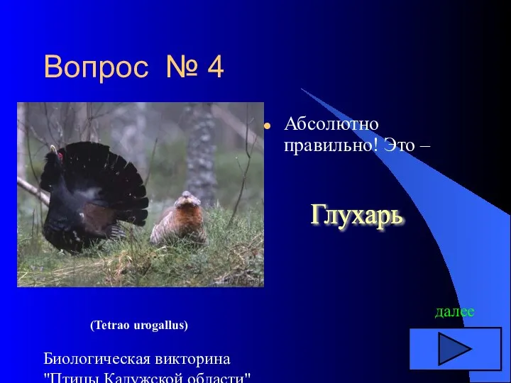 Биологическая викторина "Птицы Калужской области" Вопрос № 4 Абсолютно правильно! Это –