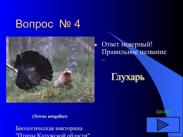 Биологическая викторина "Птицы Калужской области" Вопрос № 4 Ответ неверный! Правильное название