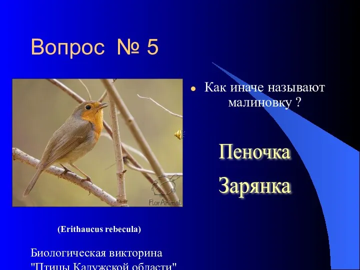 Биологическая викторина "Птицы Калужской области" Вопрос № 5 Как иначе называют малиновку