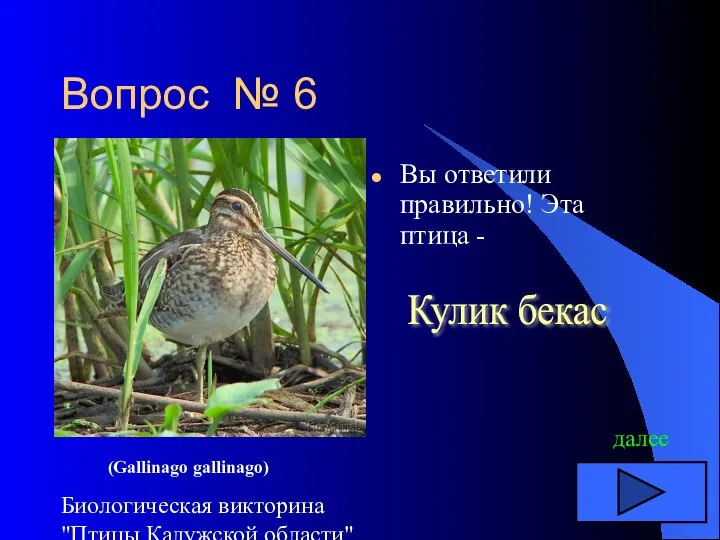 Биологическая викторина "Птицы Калужской области" Вопрос № 6 Вы ответили правильно! Эта