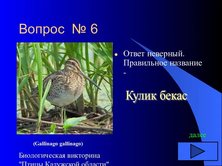 Биологическая викторина "Птицы Калужской области" Вопрос № 6 Ответ неверный. Правильное название