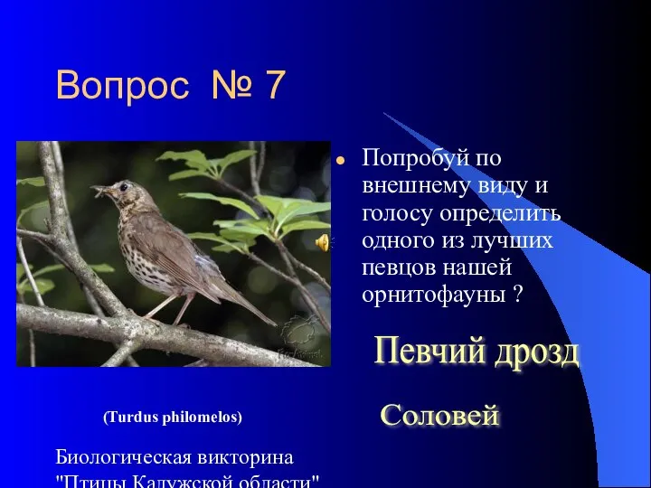 Биологическая викторина "Птицы Калужской области" Вопрос № 7 Попробуй по внешнему виду