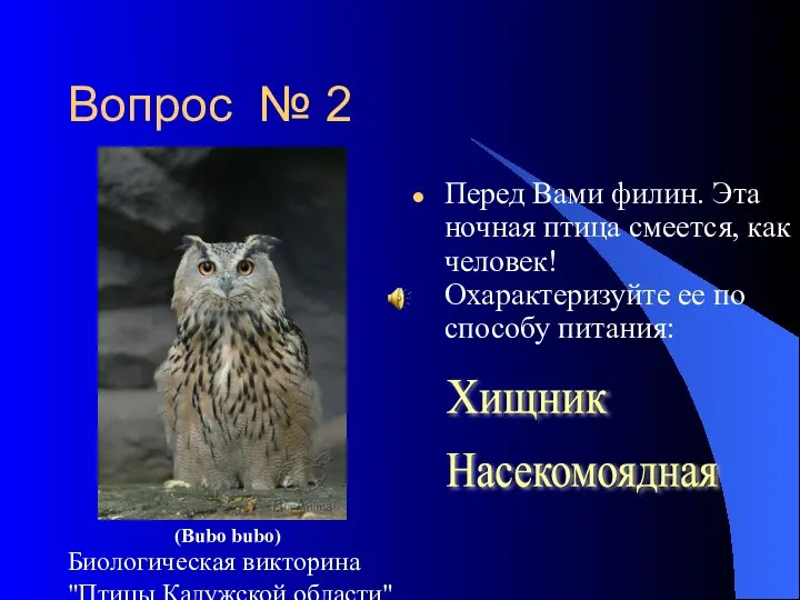 Биологическая викторина "Птицы Калужской области" Вопрос № 2 Перед Вами филин. Эта