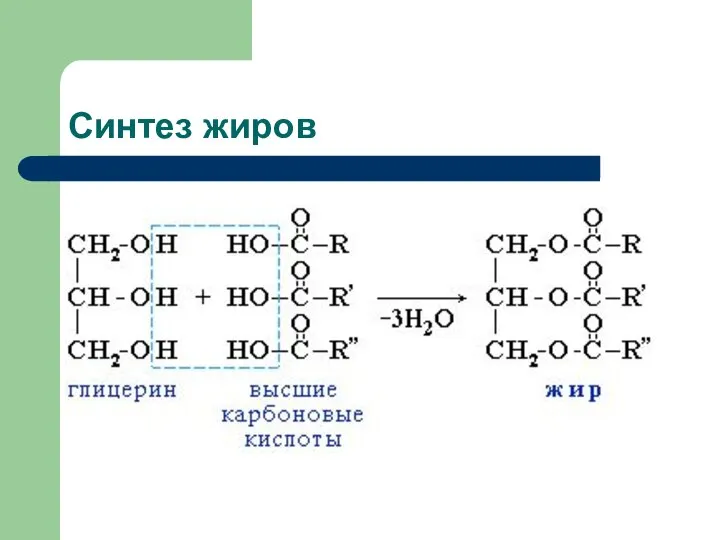 Синтез жиров