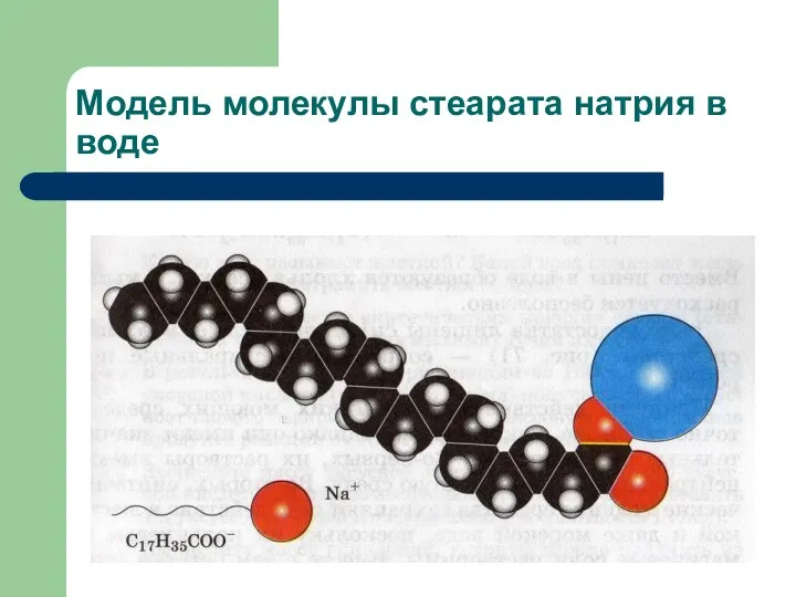 Модель молекулы стеарата натрия в воде