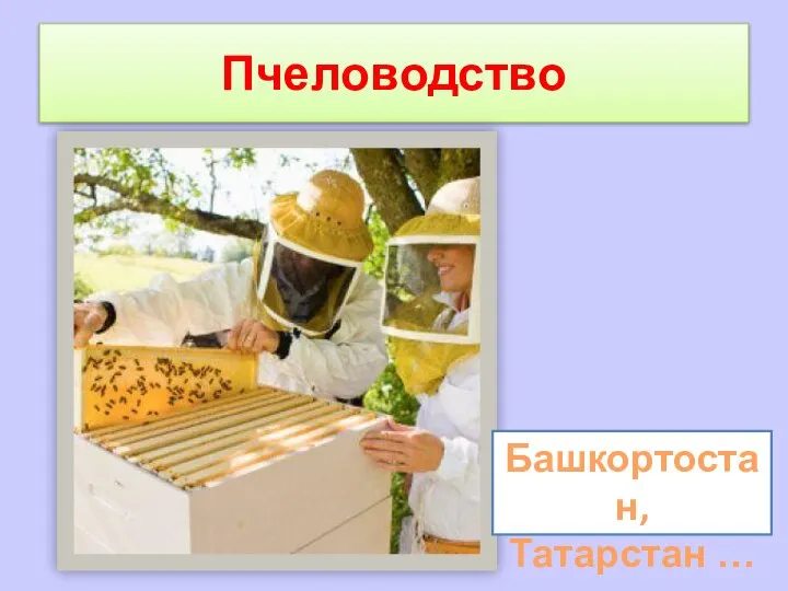 Пчеловодство Башкортостан, Татарстан …