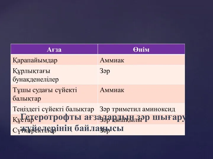 Гетеротрофты ағзалардың зәр шығару жүйелерінің байланысы