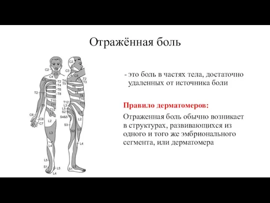 Отражённая боль это боль в частях тела, достаточно удаленных от источника боли