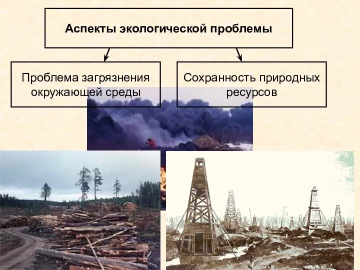 Аспекты экологической проблемы Проблема загрязнения окружающей среды Сохранность природных ресурсов