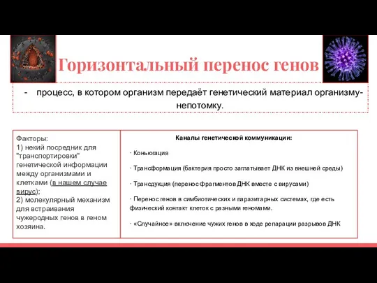 Горизонтальный перенос генов процесс, в котором организм передаёт генетический материал организму-непотомку. Факторы: