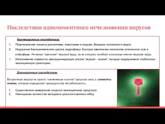 Последствия одномоментного исчезновения вирусов Краткосрочные последствия. Перенаселение планеты растениями, животными и людьми.