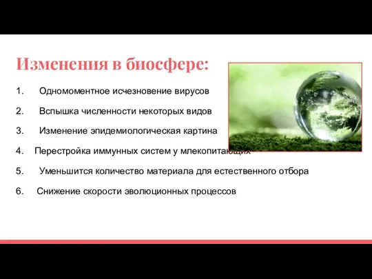 Изменения в биосфере: 1. Одномоментное исчезновение вирусов 2. Вспышка численности некоторых видов