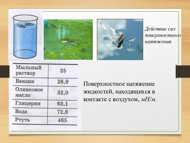 Действие сил поверхностного натяжения Поверхностное натяжение жидкостей, находящихся в контакте с воздухом, мН/м.