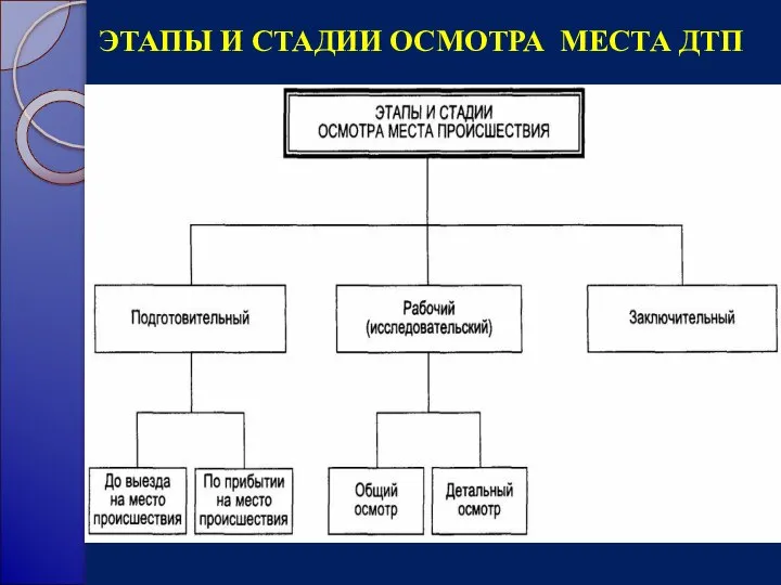 ЭТАПЫ И СТАДИИ ОСМОТРА МЕСТА ДТП