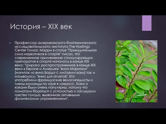 История – XIX век Профессор американского биотехнического исследовательского института The Hastings Center