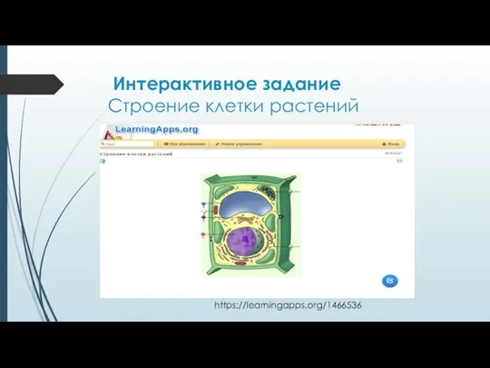 Интерактивное задание Строение клетки растений https://learningapps.org/1466536