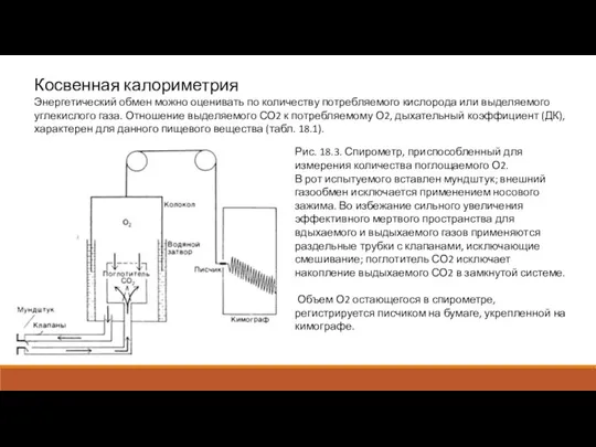 Косвенная калориметрия Энергетический обмен можно оценивать по количеству потребляемого кислорода или выделяемого