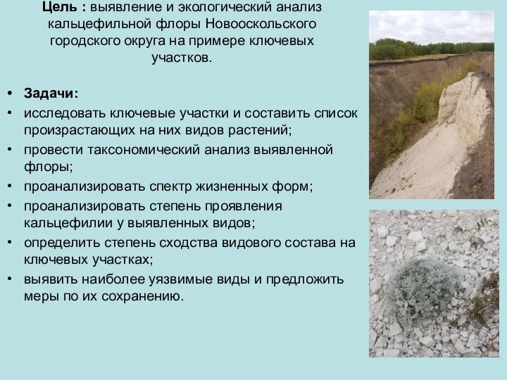 Цель : выявление и экологический анализ кальцефильной флоры Новооскольского городского округа на