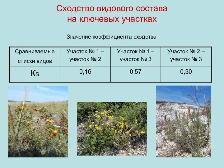 Сходство видового состава на ключевых участках Значение коэффициента сходства